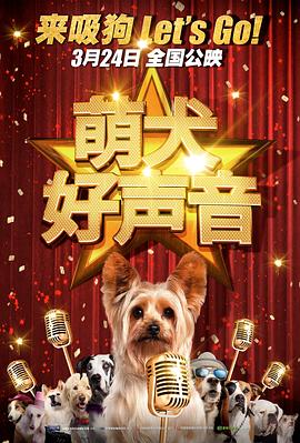 美女网站视频一区