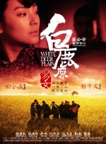 杨晓雯