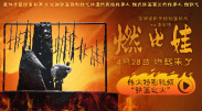 高h视频污