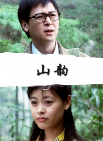 三节片